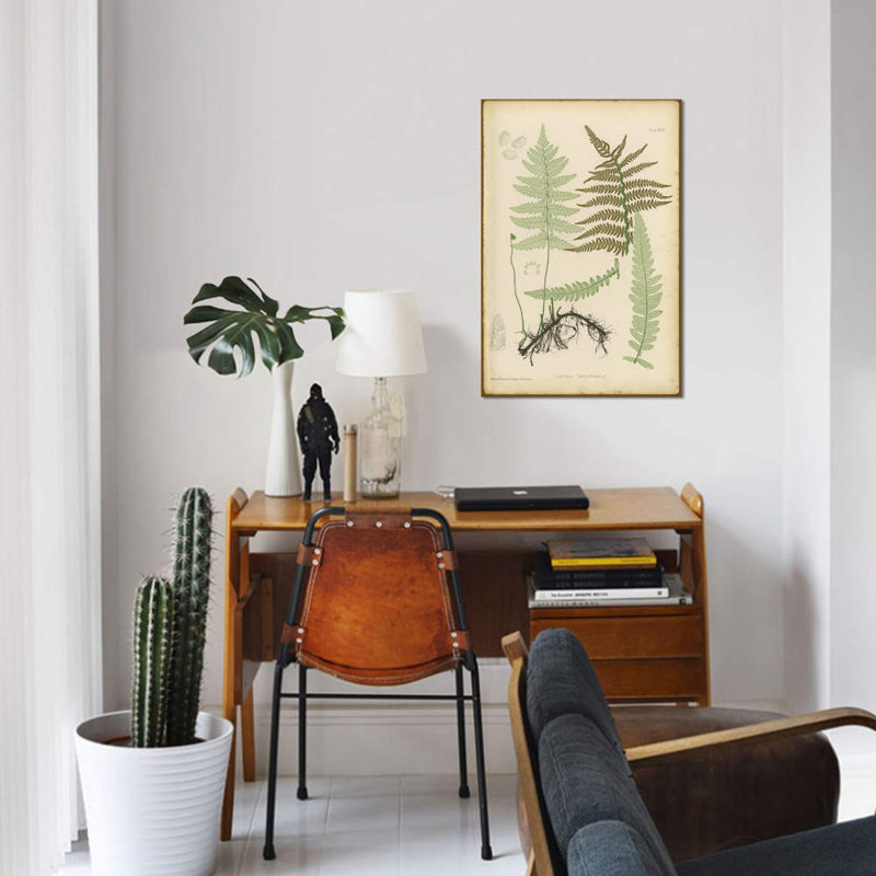 «Lastrea Thelypteris», impression sur toile, H 18 po x l 12 po x P 1,5 po, Pas de tapis, Toile tendue