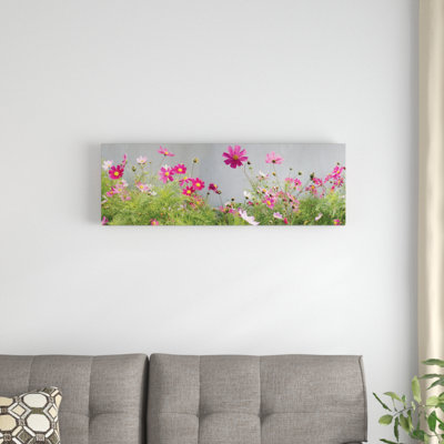 "field of cosmos" , reproduction de photo sur toile tendue