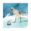 Delray Sandpiper II 1 Piece Wrapped Canvas Painting-1628804248