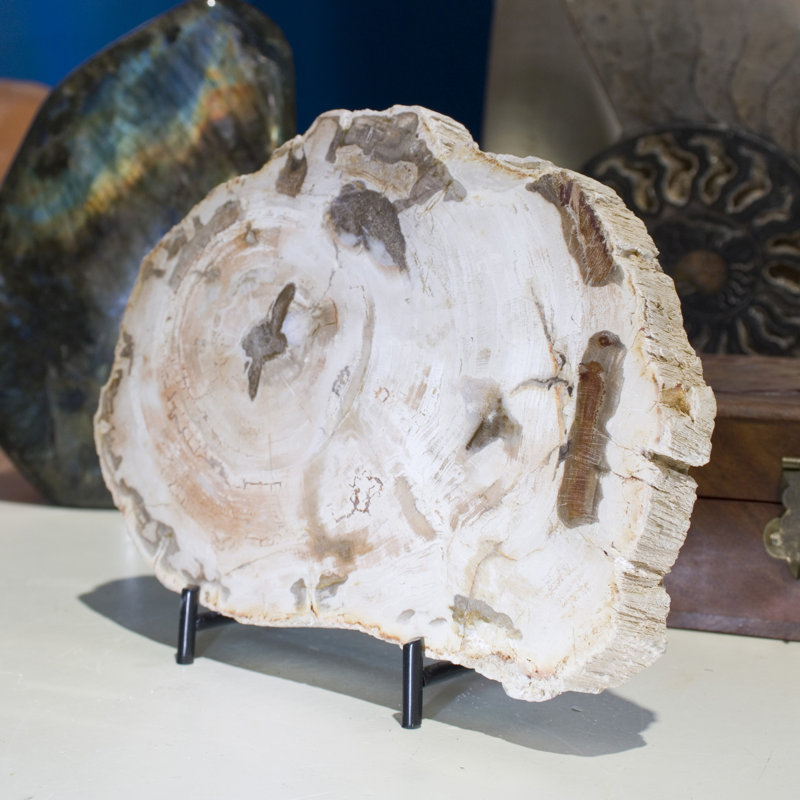 Figurines et sculptures Aleshia