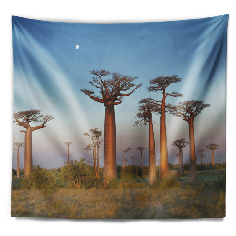 Tapisserie sky landscape of baobabs under the clamation, H 50 po x l 60 po