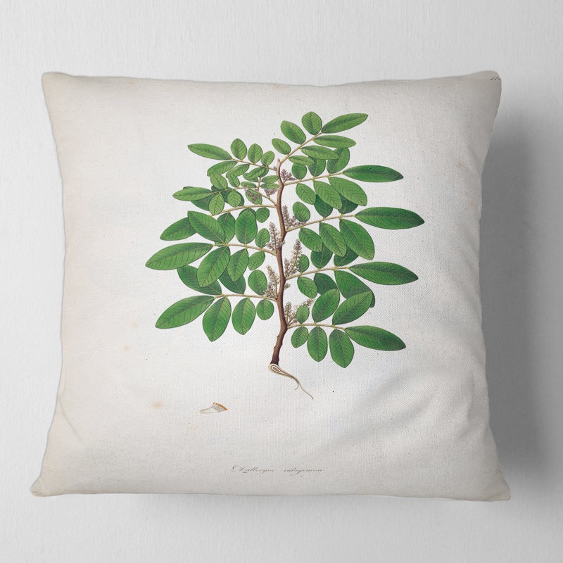 Coussin Vintage Plant Life XX - Farmhouse, 18" x 18"