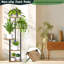 Plant Stand