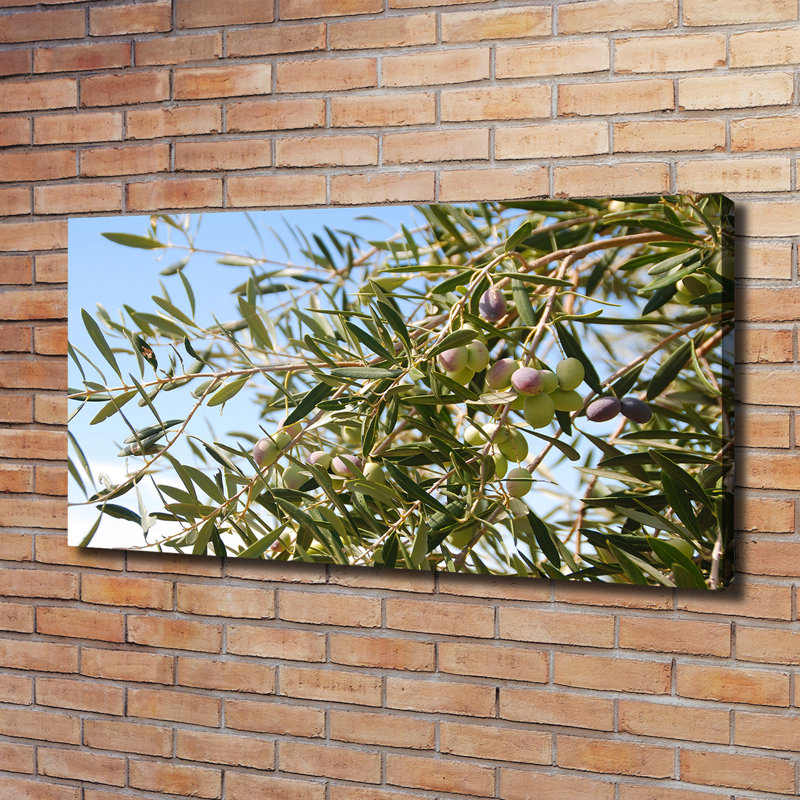 Olive Tree - Wrapped Canvas Print
