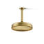 Traditional Rain Shower Head-1718619877