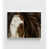 Tanné n'est pas disponible