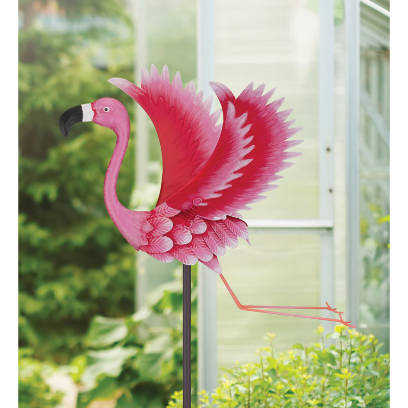Piquet d'oiseau, Flamant rose