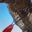Travel Camping Hammock Set