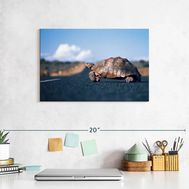 Brampt Crossing Turtle, 8" H x 12" W