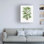 Art sur toile Les Palmiers Rxis