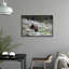 First Spring Print by Curt & Stacy Howell-69948803-69948806