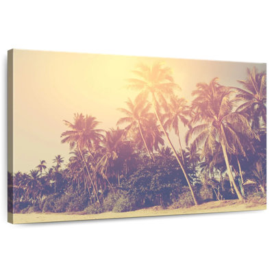 Gillard Hazy Palm Trees Gillard