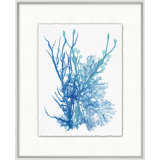 Azure Ocean Herbarium 3' Framed Graphic Art Print on Glass