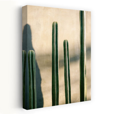 Art contemporain contemporain, cactus dramatique, art urbain naturel