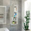 Armoire de salle de bain, deux tablettes internes, deux tablettes externes, une porte