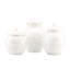Opal Innocence Carved 3 Piece Storage Jar Set