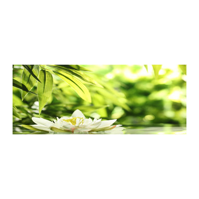 Water Lily - Wrapped Canvas Print