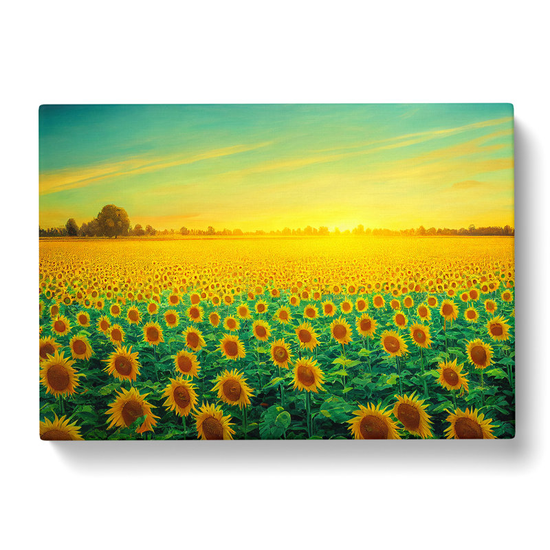 Dazzling Sunflower Field - Wrapped Canvas Painting, 35cm H x 50cm W x 3cm D