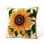 Coussin 14 po H