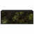 Black Oak