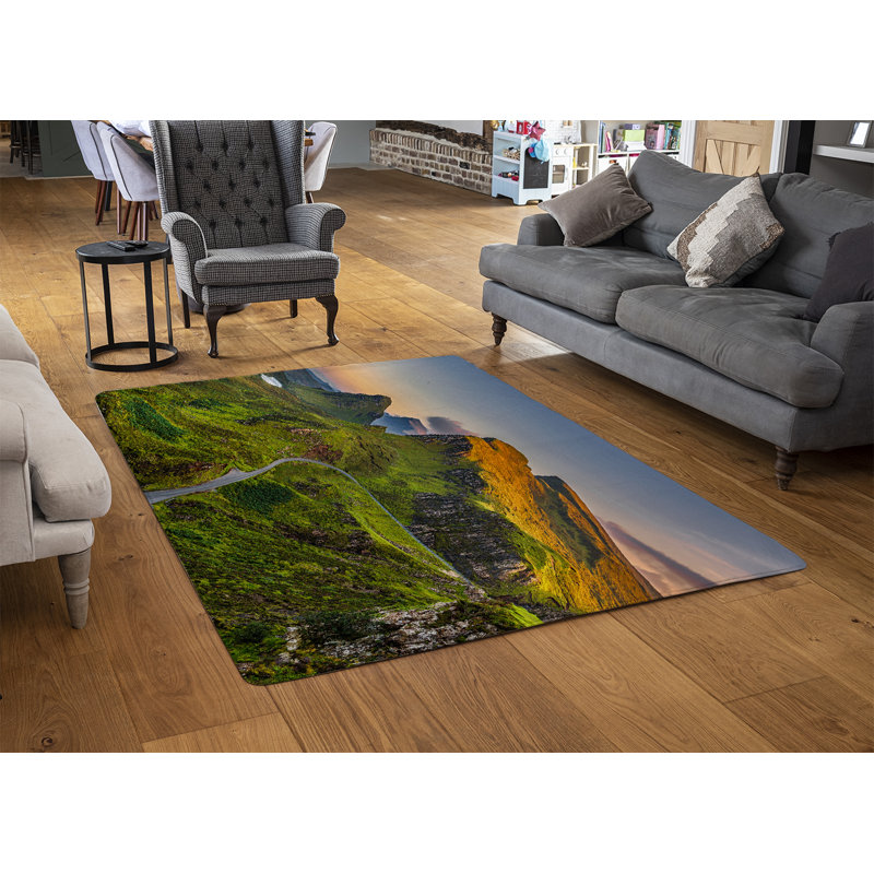Iona-Rose Shag Area Rug, Rectangle 60 x 110cm