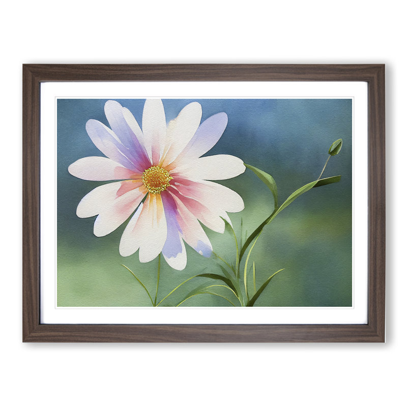 Watercolour Daisy Flower Vol.2 - Framed Print, 46cm H x 64cm W x 2cm D, Walnut