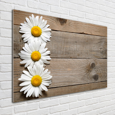 Daisies Wood - No Frame Print on Glass