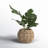Julieta 12.25 " H Faux Philodendron Plant