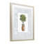 Potted Topiary with Ribbon Framed Print Under Glass, design by Carol Robinson-1953348391-1953348408