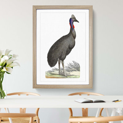 Black Cassowary Bird by George Shaw - Picture Frame Painting