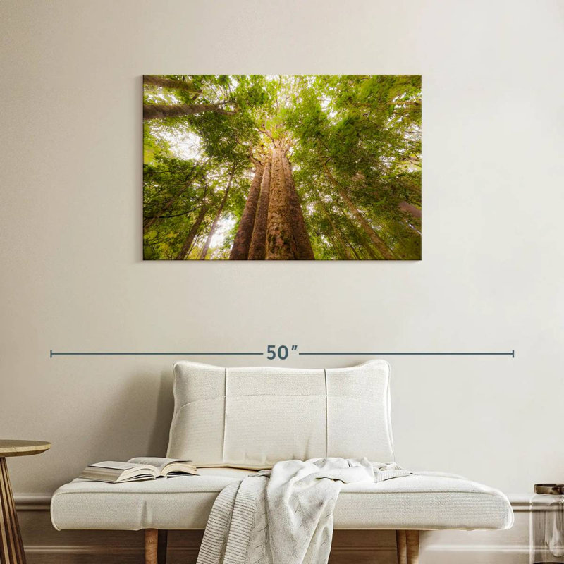 Harnek Waipoua Kauri Trees, 24" H x 36" W