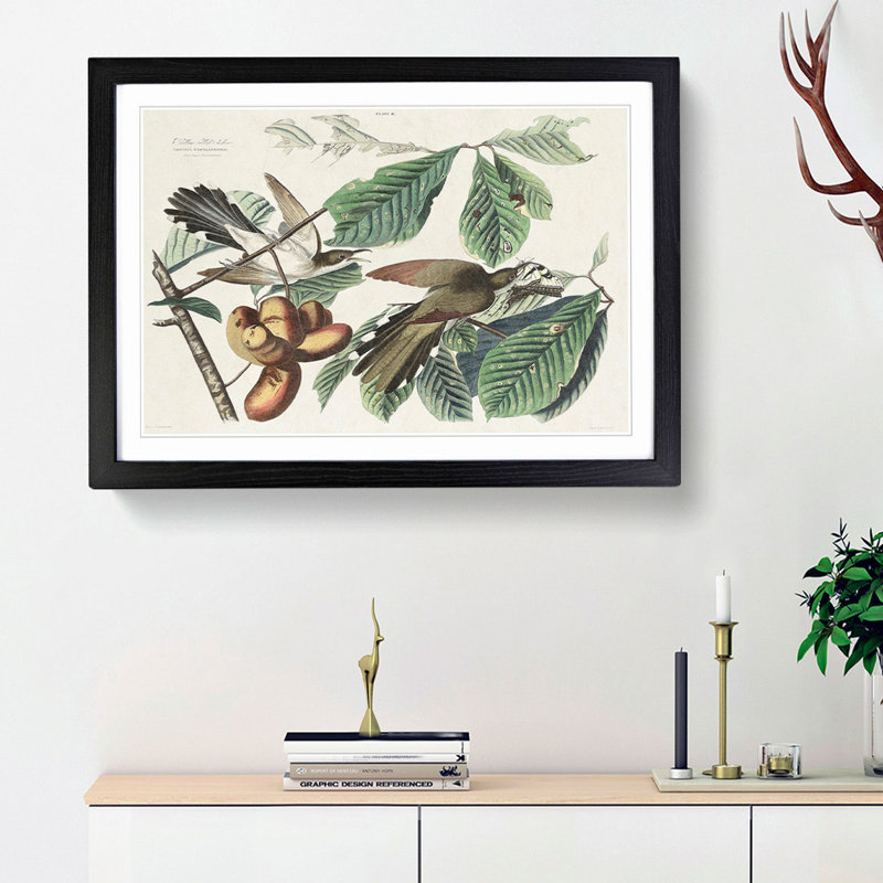 Yellow-Billed Cuckoo Birds by John Audubon - Framed Print, 27cm H x 36cm W x 2cm D, Black Framed