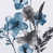 Gray/Blue