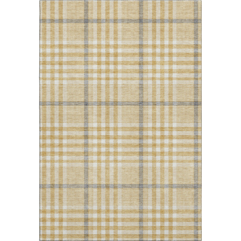 Premium Machine Washable Corry AMF1054 Plaid Rug, Rectangle 10' x 14'