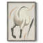 ANIMALS Series CECLXIX, reproduction encadrée - bois massif-220345059