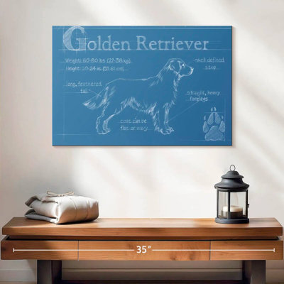 Golden retriever de Brampt