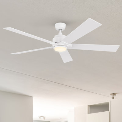 60'' Ceiling Fan with LED Lights
