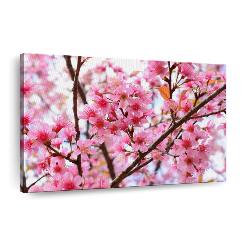 Oriental Cherry Blossom, reproduction sur toile, H 8 po x l 12 po x P 1 po
