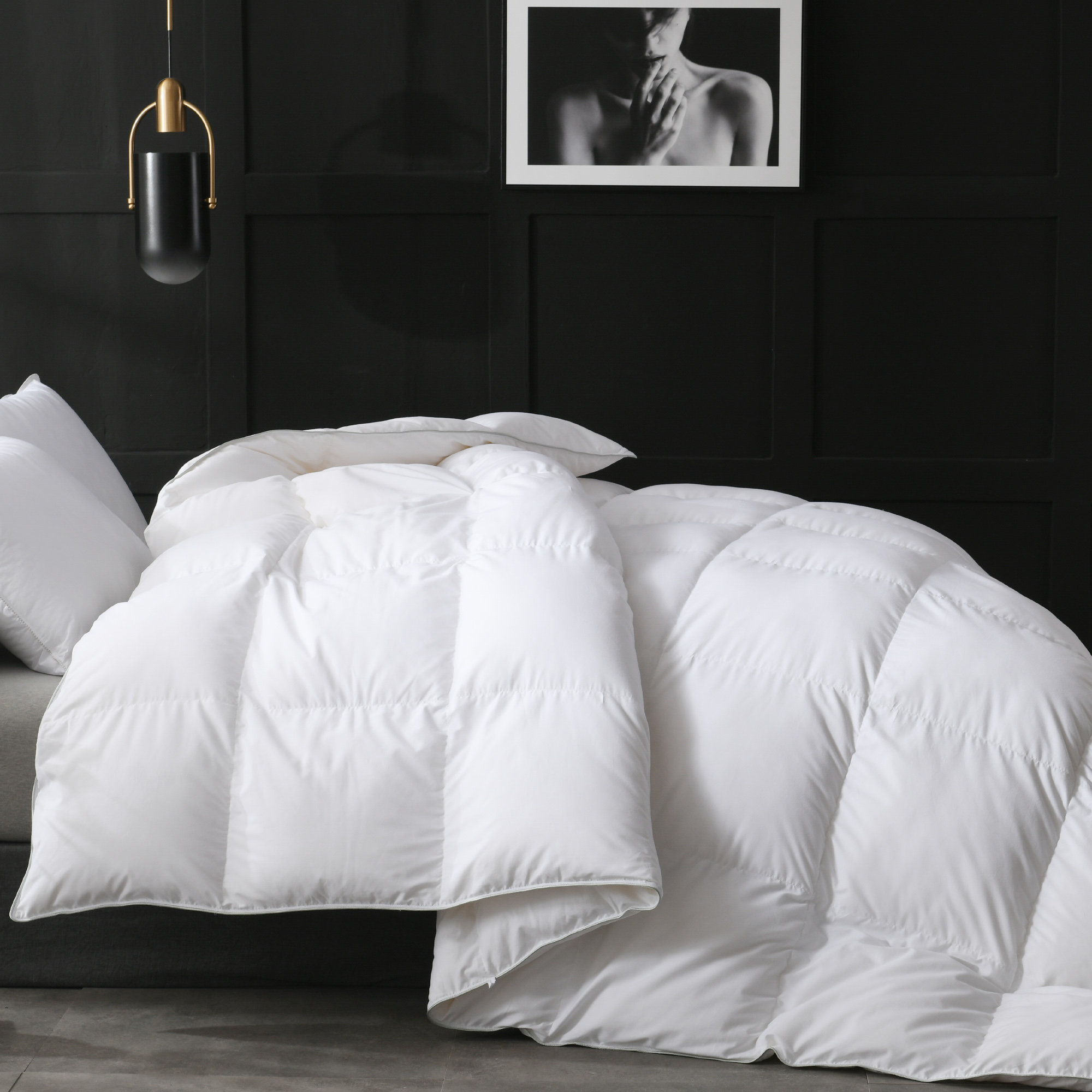 Snuggle Soft 850 Fill Power Goose Down Pillows - Standard (20 x 26)