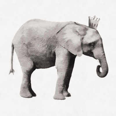 Greyscale Elephant King - Wrapped Canvas Print