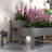 Frasher Elevated Planter-23726589-35086108