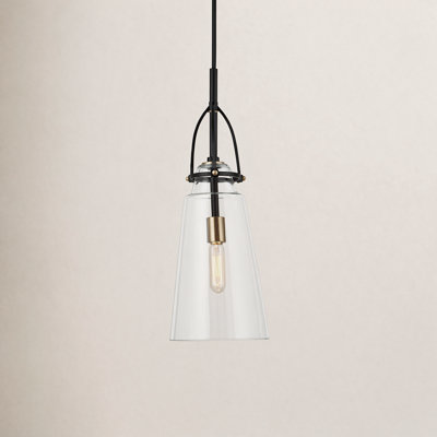 Single Light Glass Dimmable Pendant
