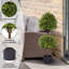 Arbres topiaires 40 po