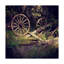 'Wagon Wheels' Photographic Print on Wrapped Canvas-27484250