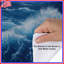 Housse de couette Ocean Bedding-122247991