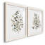«Neutral Eucalyptus I», reproduction de cadre photo sur toile 2 pièces-661089275-661089274