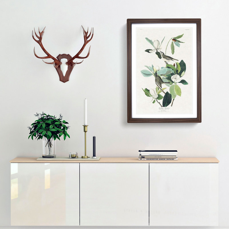 Warbling Flycatcher Birds by John Audubon - Framed Print, 65cm H x 48cm W x 2cm D, Walnut Framed