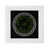 Green Black