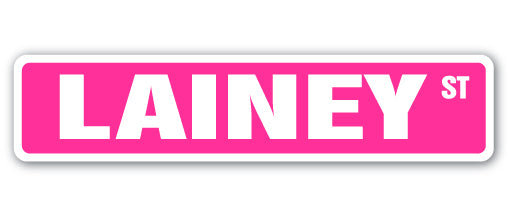 Plaque de rue Lainey en plastique robuste 4 po x 18 po