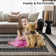 Burkni Washable Geometric Indoor Rug